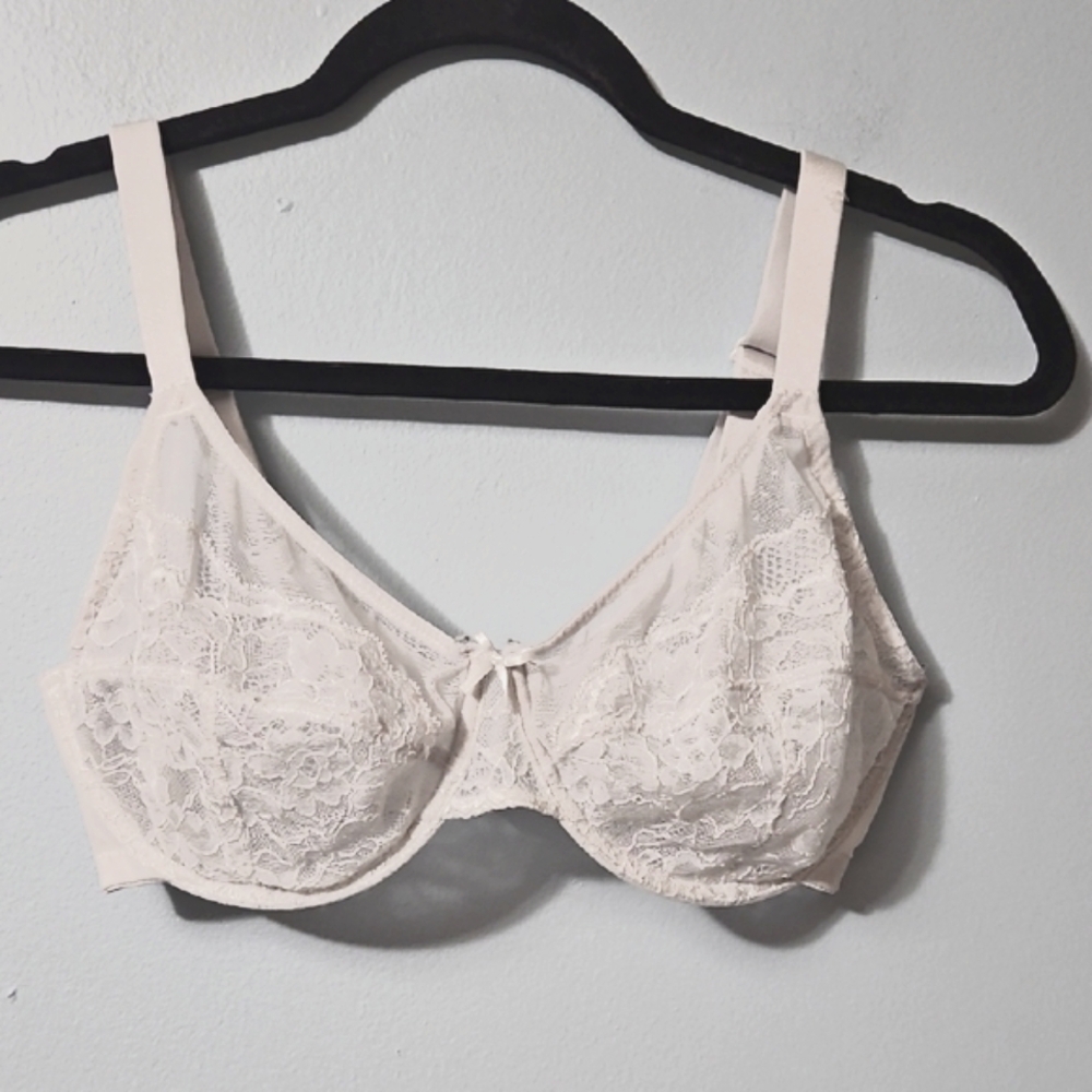 Hsia Elegant Light Gray Lace Underwire Bra Size 34DD